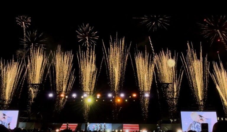 今年最初で最後の花火